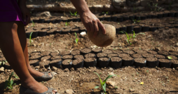 La agricultura centroamericana