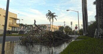 Madre Naturaleza: Huracán Irma y María