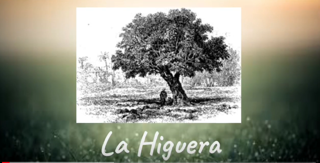 La Higuera Por Juana De Ibarbourou – Pórtico