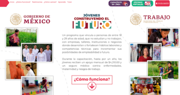 Los Ninis de México